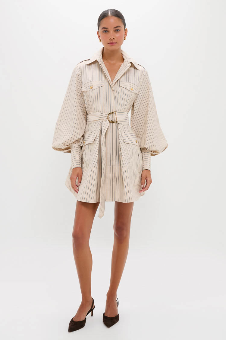 Almond Stripe Memento Utility Mini Dress