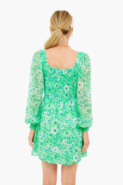 Basil Color Me Lucky Dress