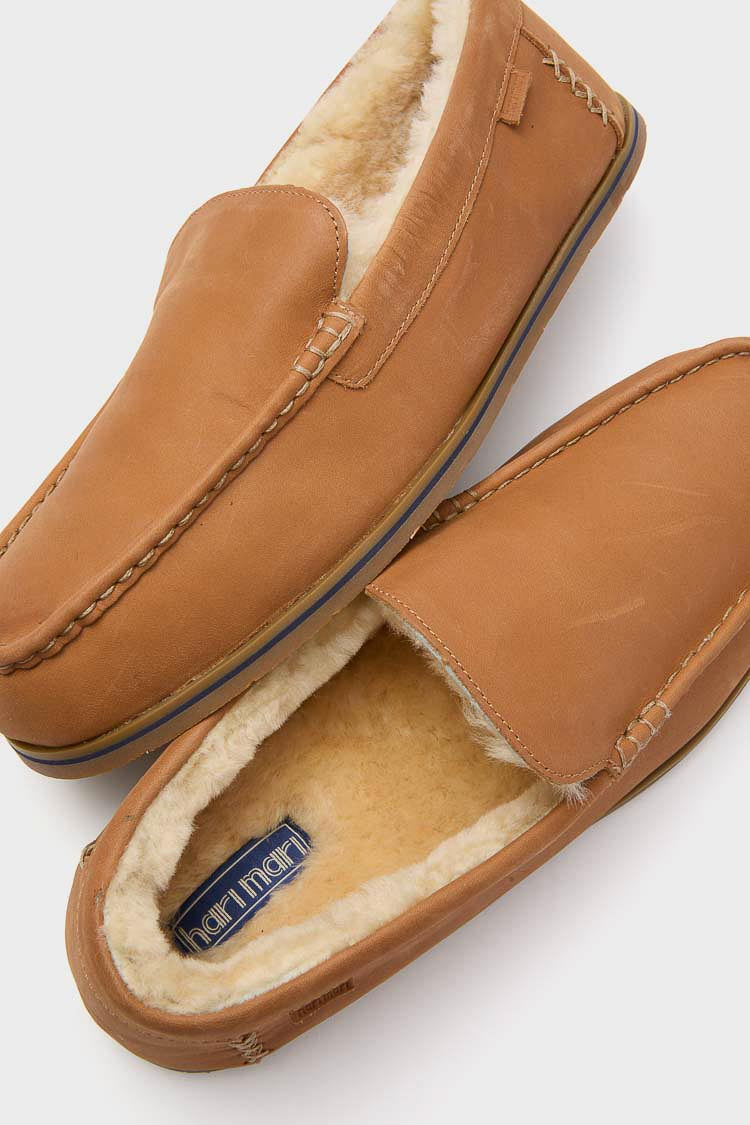 Chestnut Hacienda LX