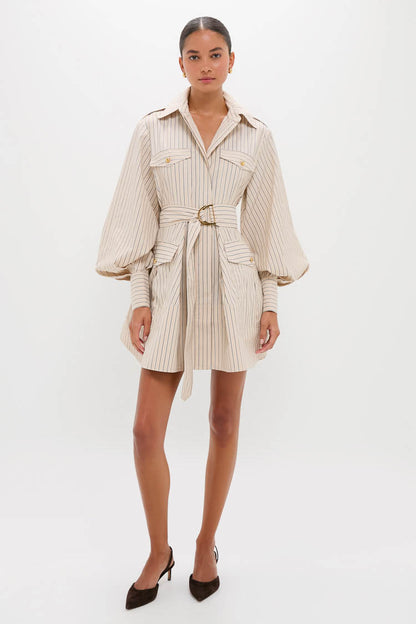 Almond Stripe Memento Utility Mini Dress