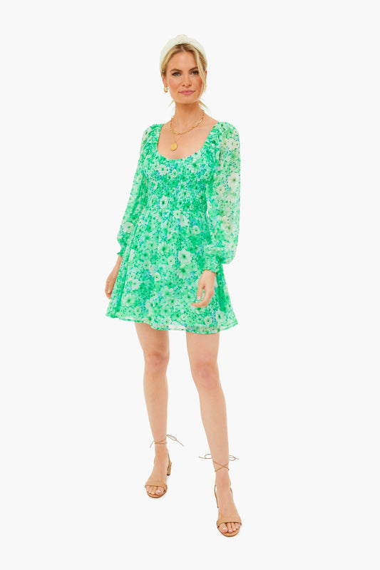 Basil Color Me Lucky Dress
