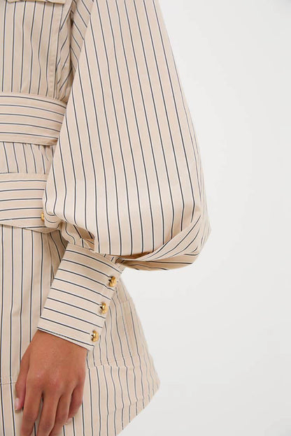 Almond Stripe Memento Utility Mini Dress