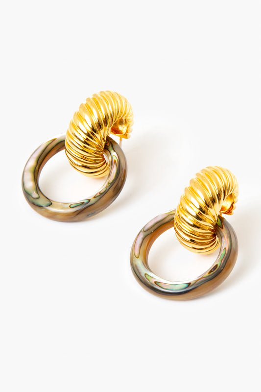 Spiral Shell Earrings