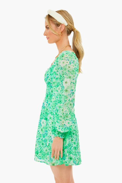 Basil Color Me Lucky Dress