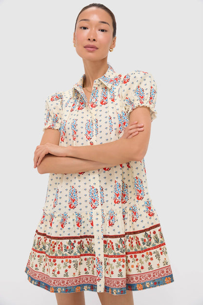 Fall Floral Cream Drifter Mini Dress