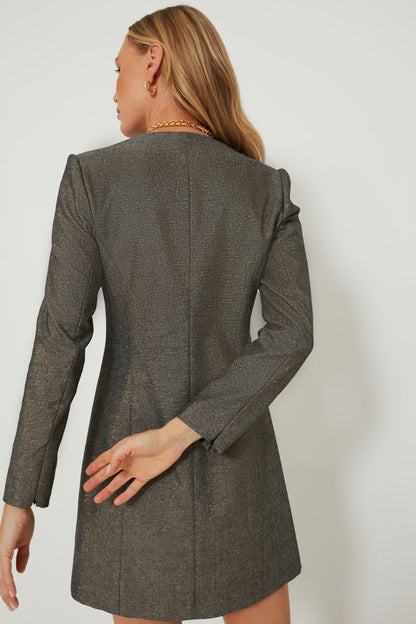 Coventry Metallic Keira Dress