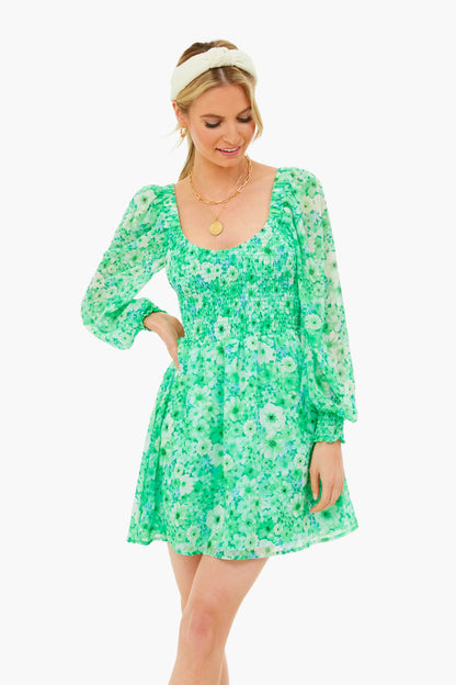 Basil Color Me Lucky Dress
